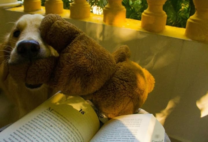 Books that Linger